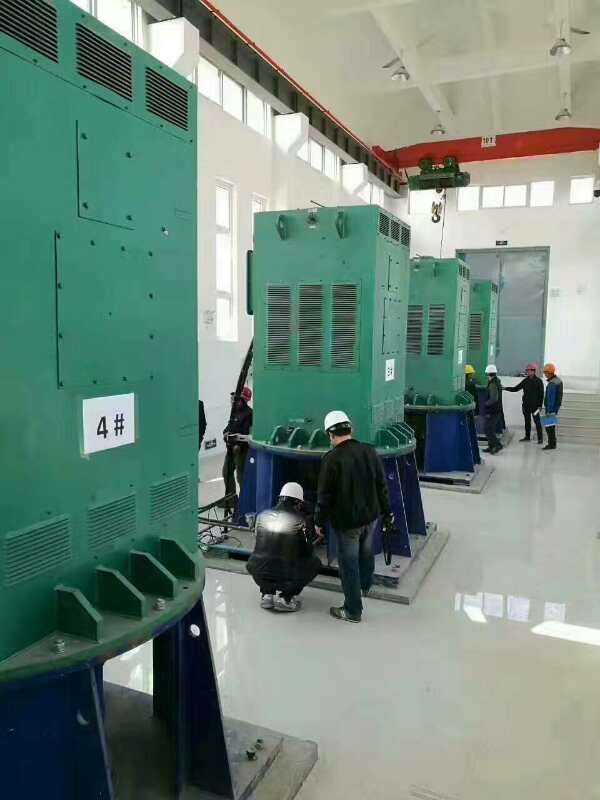 郑场镇某污水处理厂使用我厂的立式高压电机安装现场